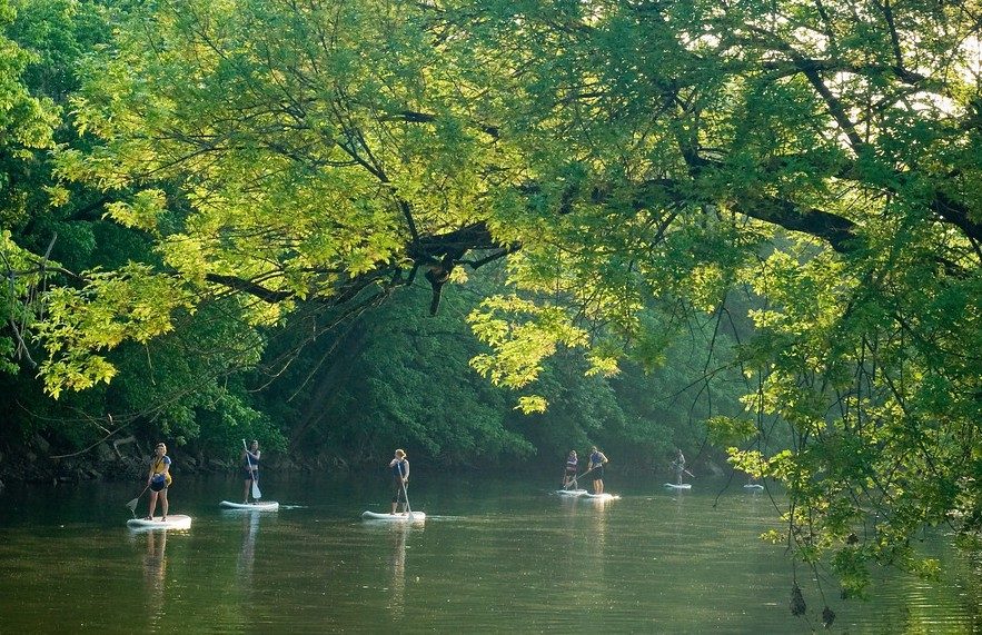 Roanoke River paddle boarding