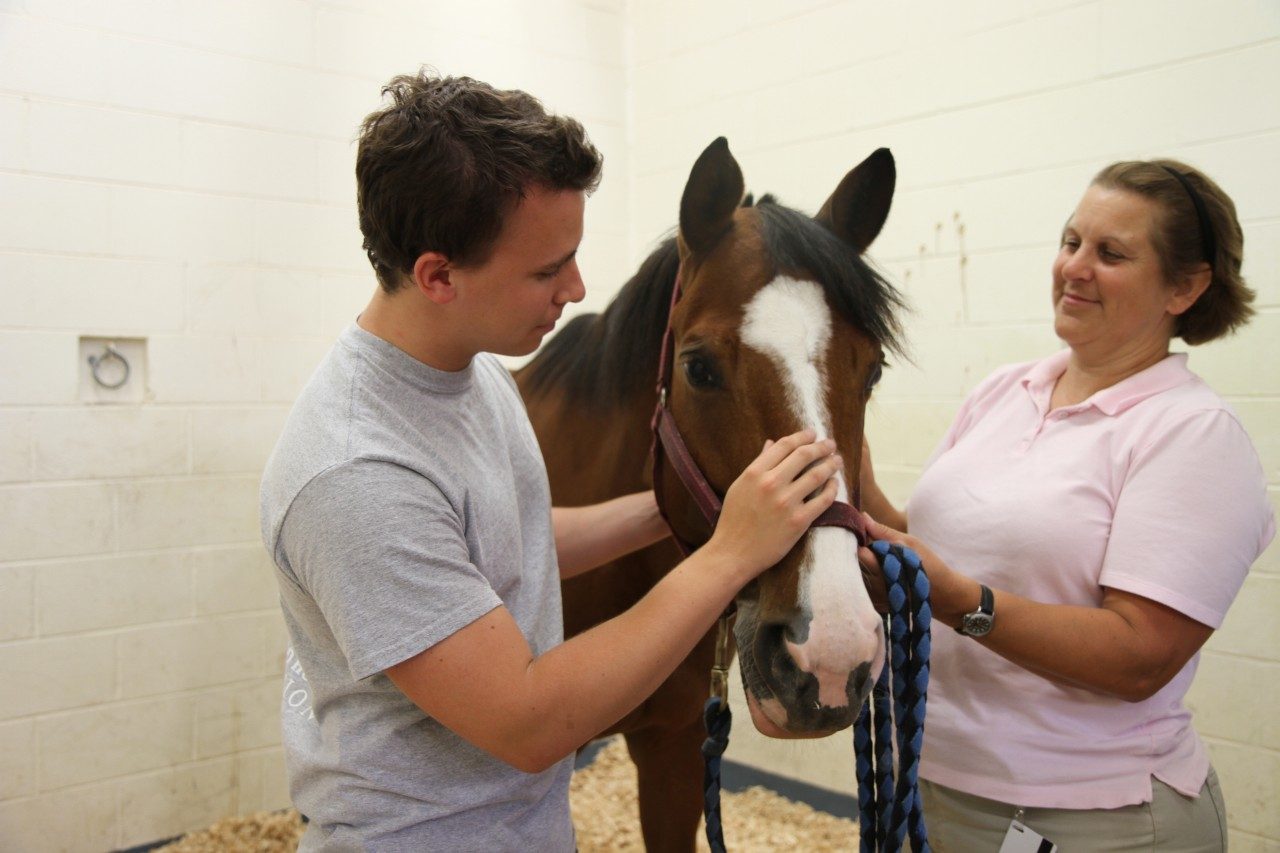 Daniel Inman (left) and Dr. Linda Dahlgren visit Mollie the horse, a patient at the Virginia-Maryland Regional College of Veterinary Medicine.