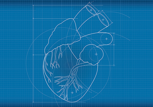 The Virginia Tech Carilion Research Institute will host Heart School 2015 as part of American Heart Month. 