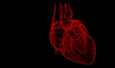 An image of a human heart on a black background