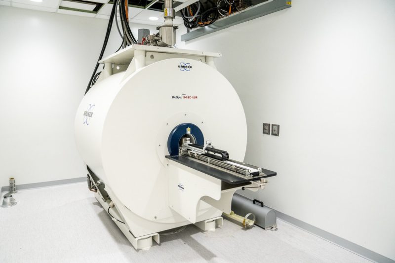 Bruker BioSpec MRI