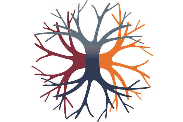 neuroSURF logo