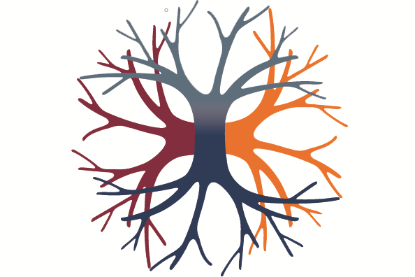 neuroSURF logo neuroSURF logo