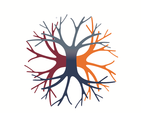 NeuroSURF logo