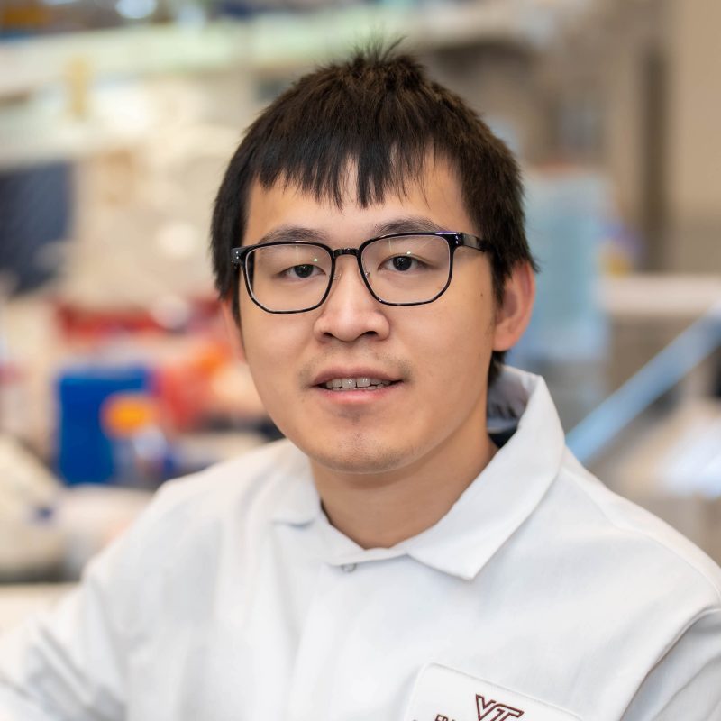 Paraspeckle Protein NONO Regulates Active Chromatin by Allosterically Stimulating NSD1