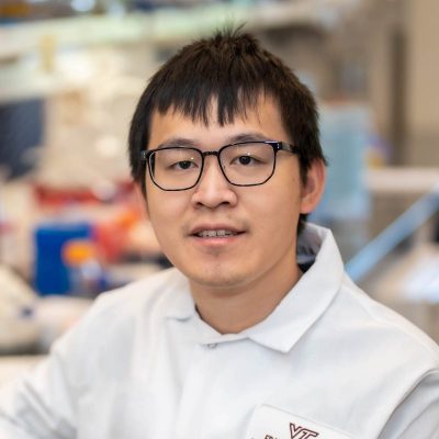 Paraspeckle Protein NONO Regulates Active Chromatin by Allosterically Stimulating NSD1