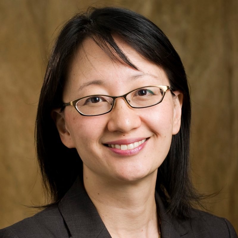 Maury Strauss Distinguished Public Lecture