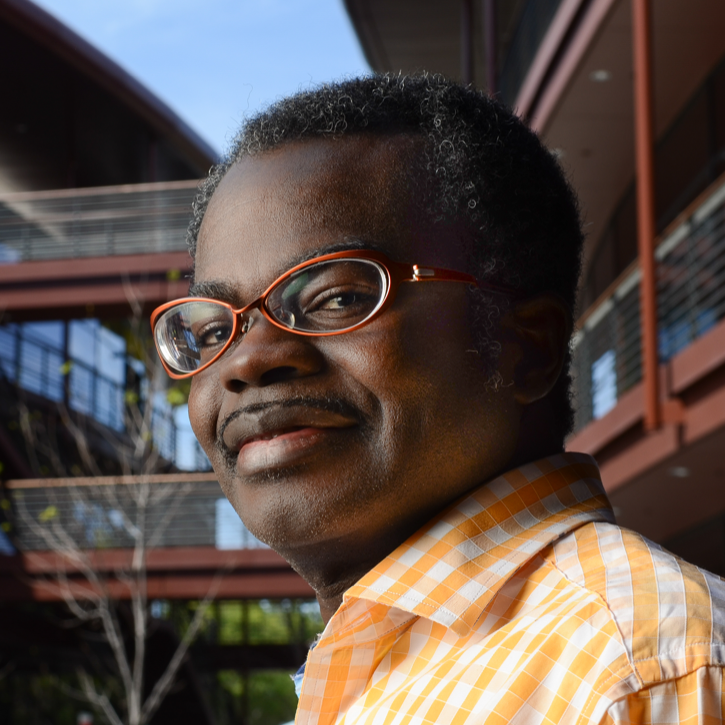 Kwabena Boahen, Ph.D.