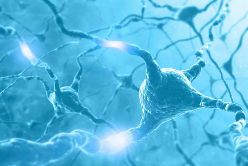 Neurobiology image