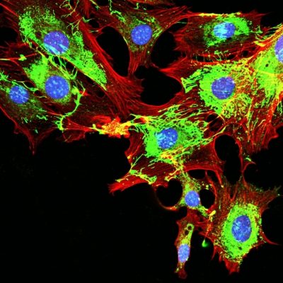 2025 Cancer Research Center Symposium