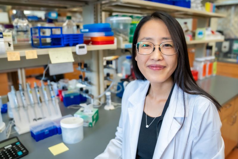 Sora Shin, Ph.D.