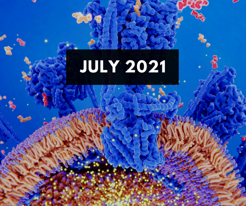 July 2021 E-Newsletter Issue