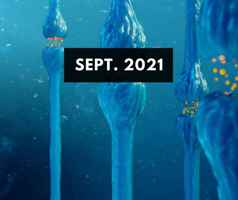 September 2021 E-Newsletter Issue