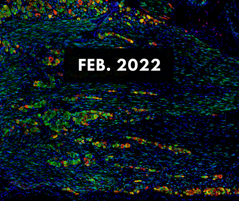 Feb. 2022 E-Newsletter Issue