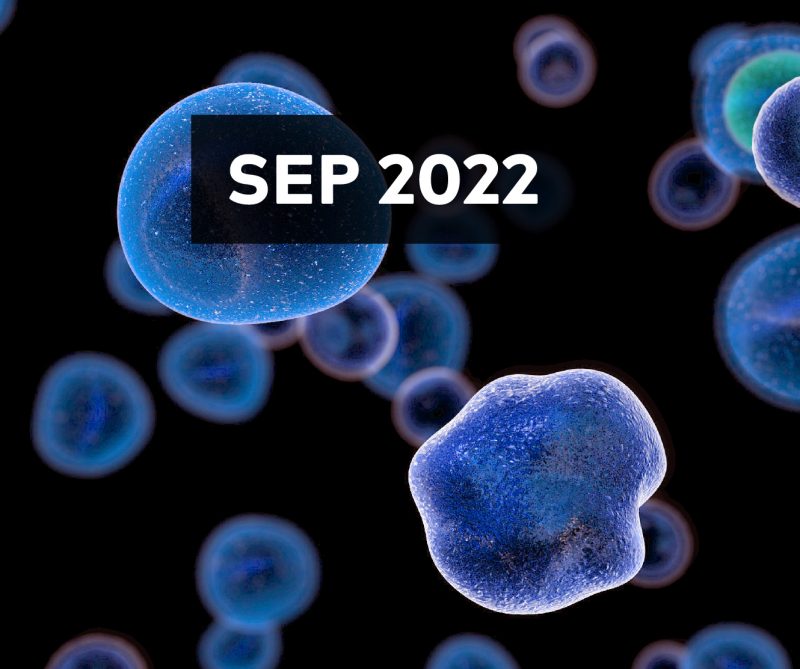 September 2022 E-Newsletter Issue