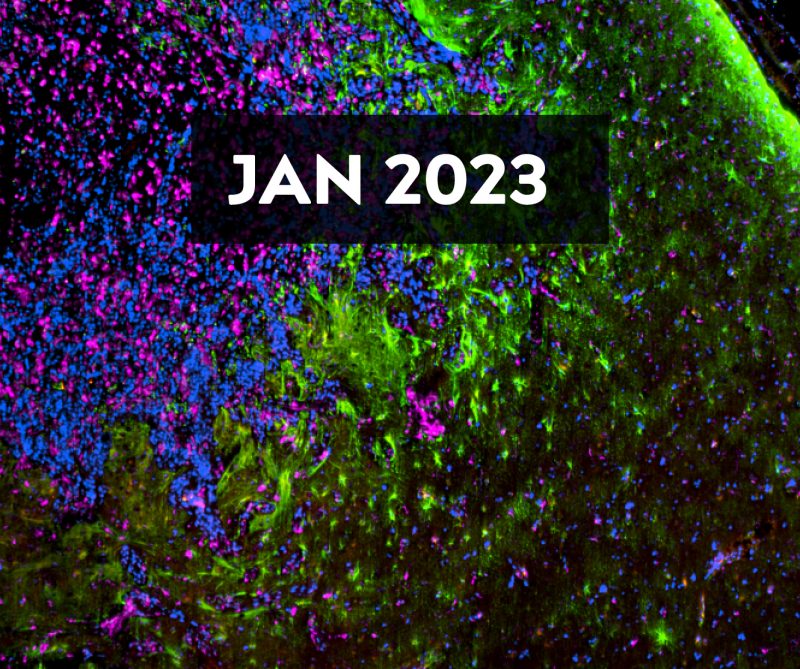 January 2023 E-Newsletter Issue