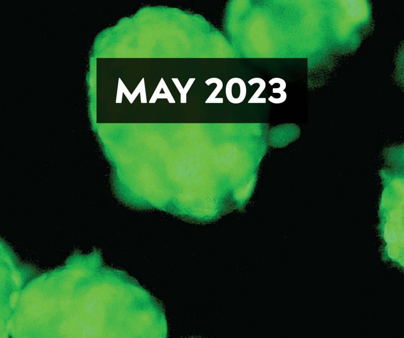 May 2023 E-Newsletter Issue