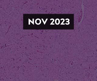 November 2023 E-Newsletter Issue