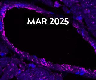 March 2025 E-Newsletter Issue