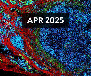 April 2025 E-Newsletter Issue