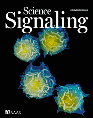  Science Signaling Vol 11, Issue 556 13 November 2018