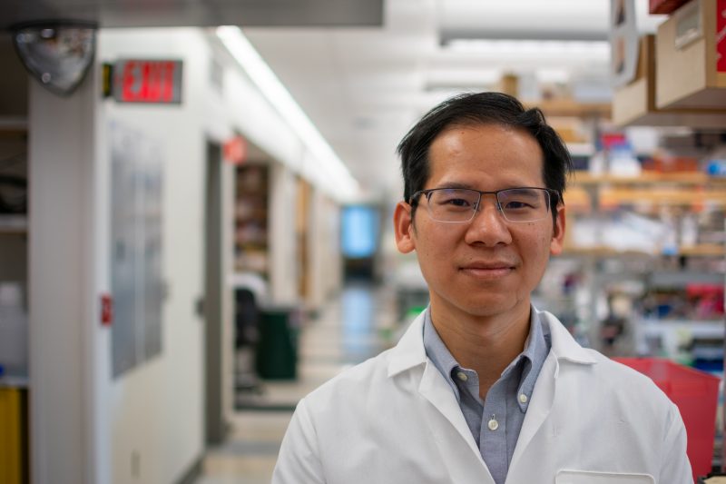 Shenglin Mei, Ph.D.