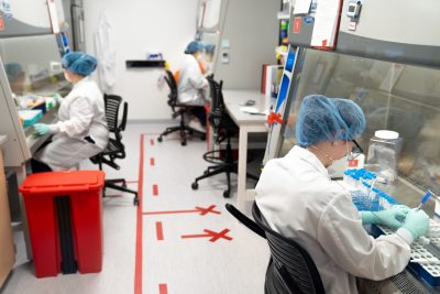 Mason Wheeler and other Pfleger Lab members at work