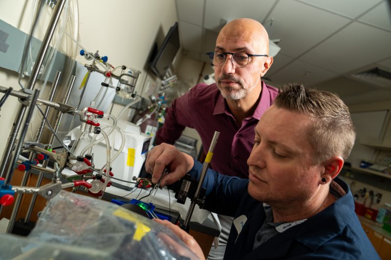 Steven Poelzing (left) and Gregory Hoeker, researchers at the Fralin Biomedical Research Institute at VTC, collaborated on a new study published in the journal Heart Rhythm.